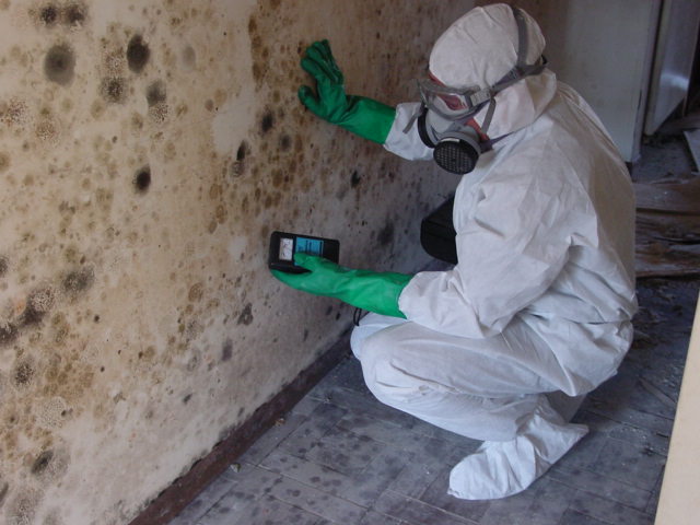 Certified Mold Remediation Contractors